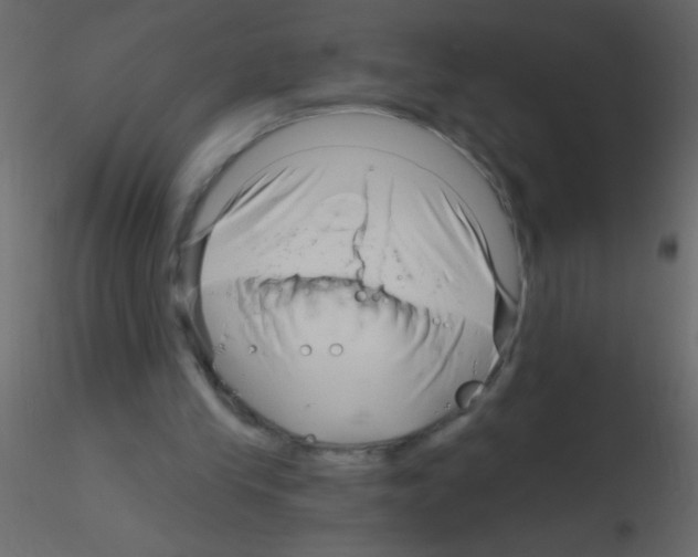 X0000115810245200912241920