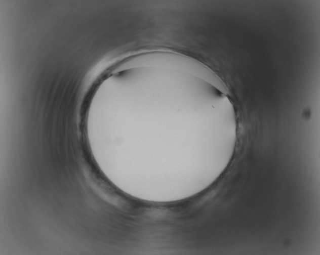 X0000115810246200912241920