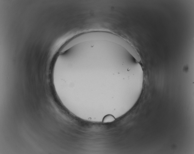 X0000115810248200912241920