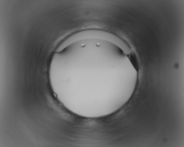 X0000115810249200912241920