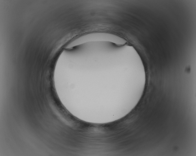 X0000115810250200912241920