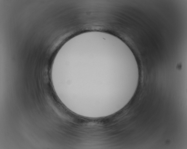 X0000115810251200912241920