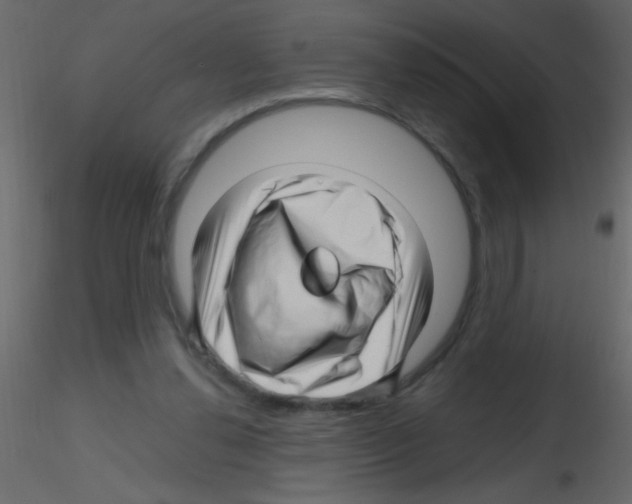 X0000115810252200912241920