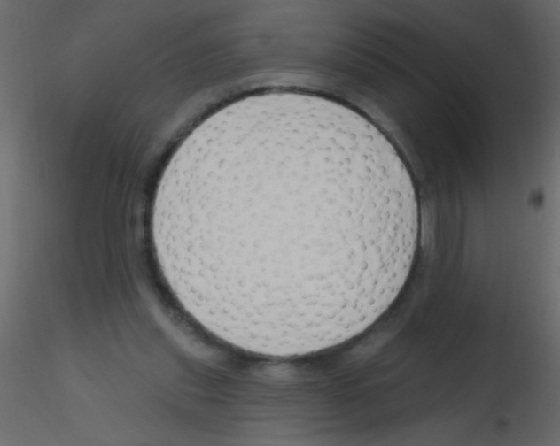 X0000115810253200912241920