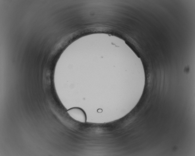 X0000115810254200912241920