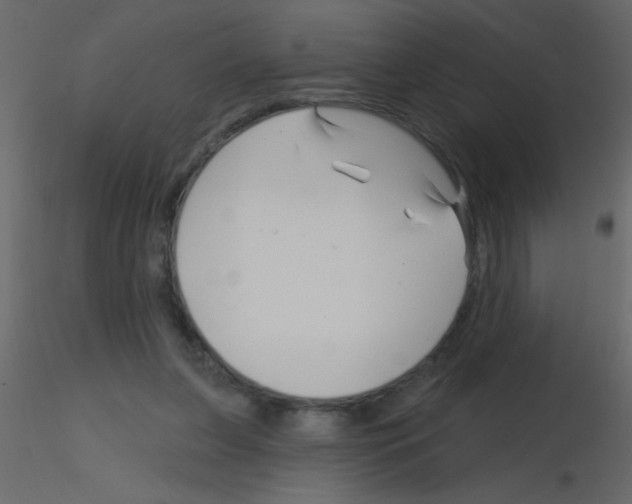X0000115810255200912241920