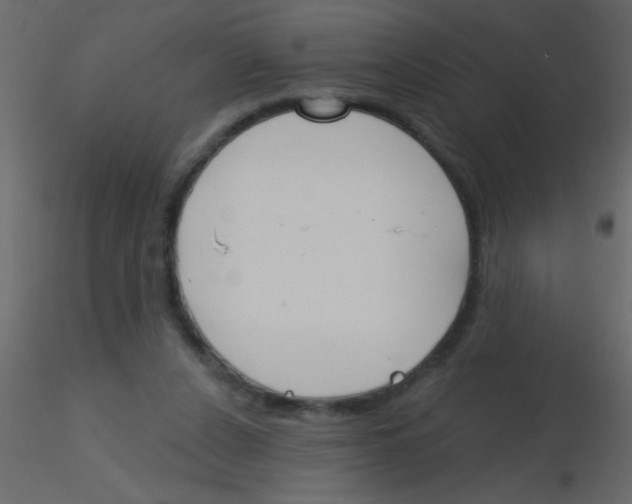X0000115810256200912241920