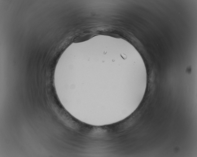 X0000115810257200912241920