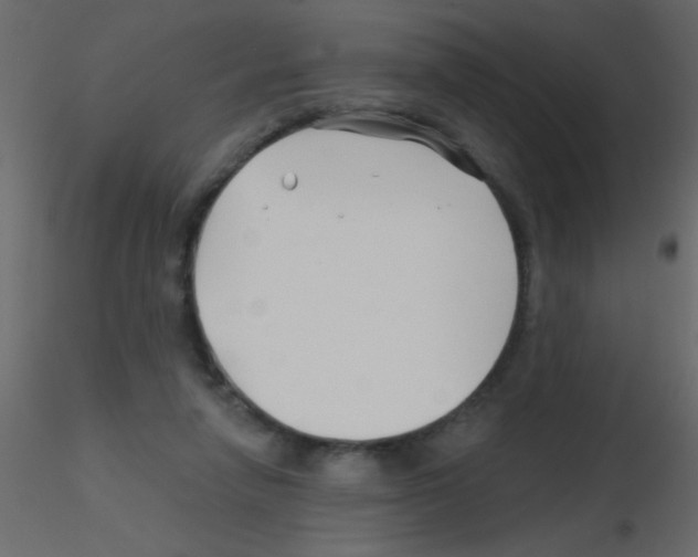 X0000115810258200912241920