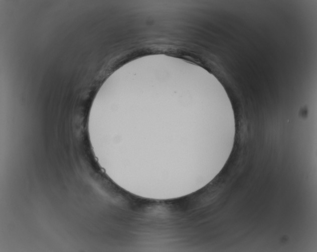 X0000115810259200912241920