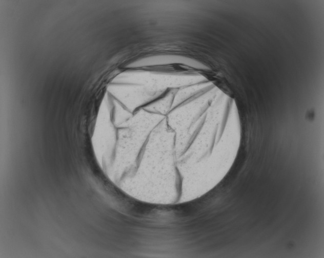 X0000115810260200912241920