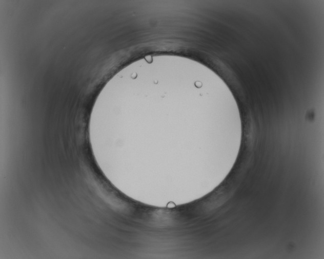 X0000115810261200912241920
