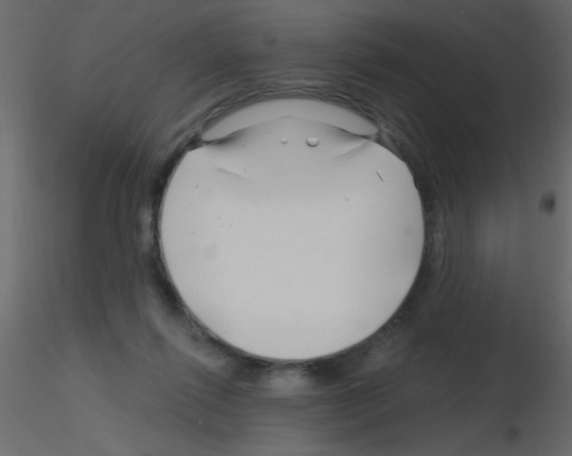 X0000115810262200912241920