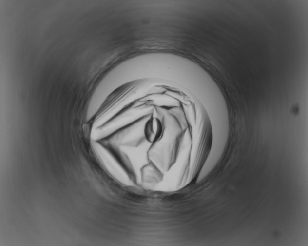 X0000115810264200912241920