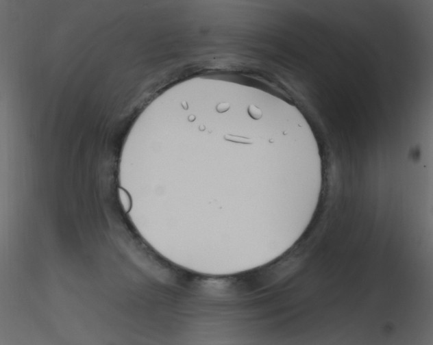 X0000115810265200912241920
