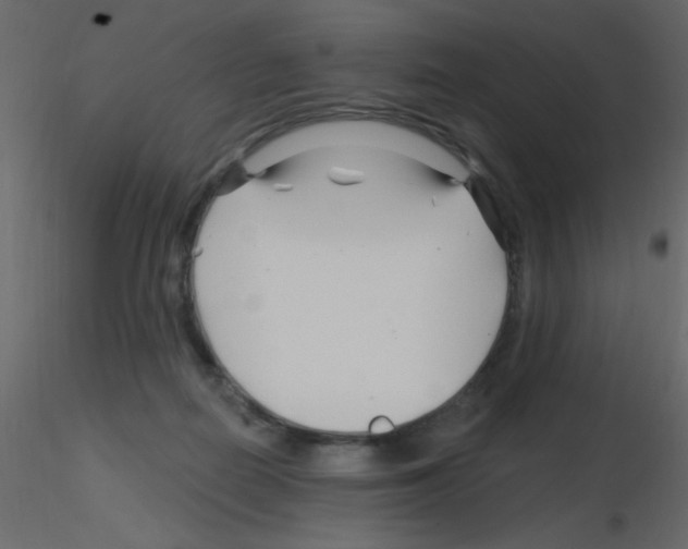 X0000115810266200912241920