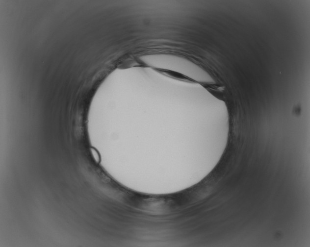 X0000115810267200912241920