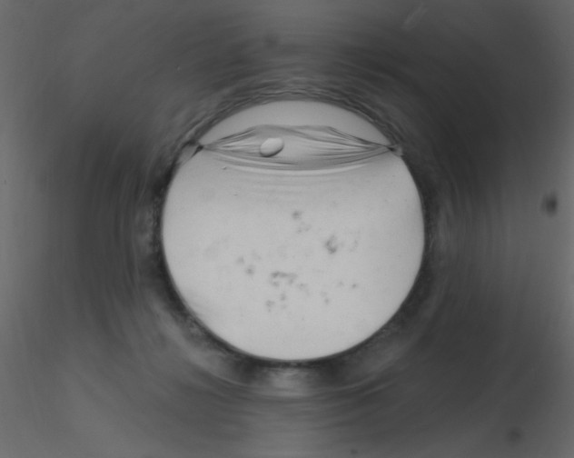 X0000115810268200912241920