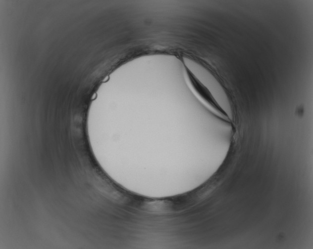 X0000115810269200912241920
