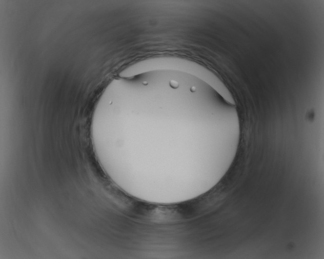X0000115810270200912241920