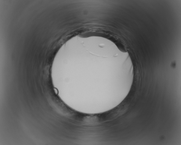 X0000115810271200912241920