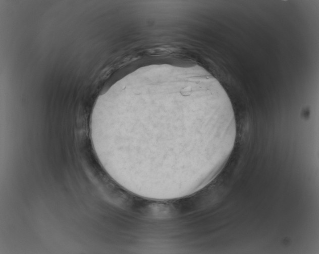 X0000115810272200912241920