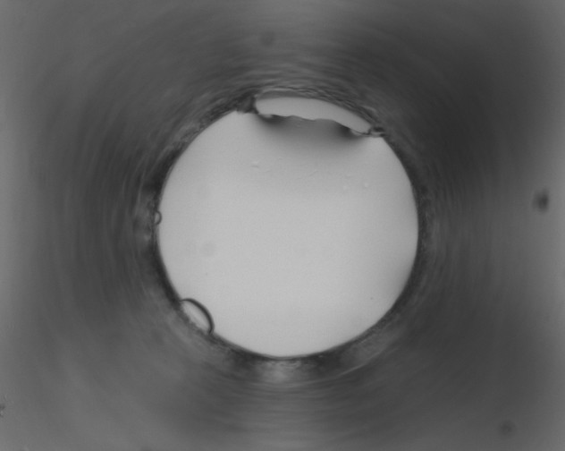X0000115810273200912241920