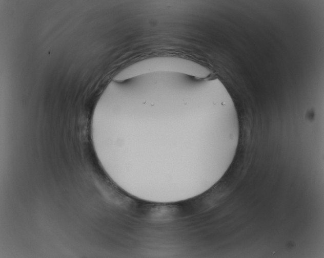 X0000115810274200912241920