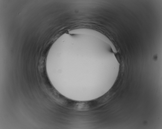 X0000115810275200912241920