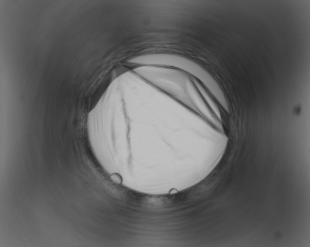 X0000115810277200912241920