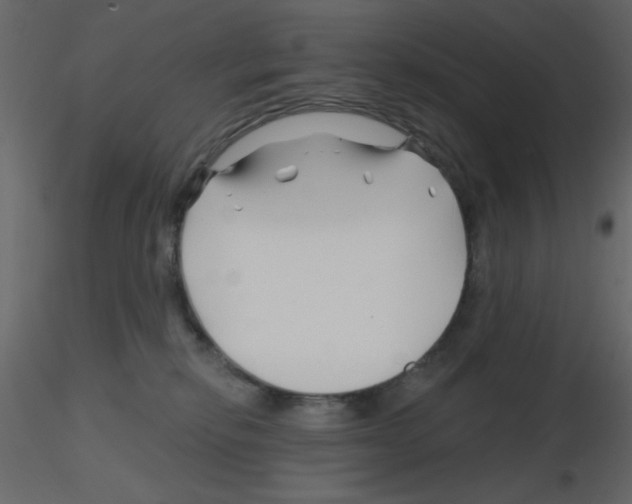 X0000115810278200912241920