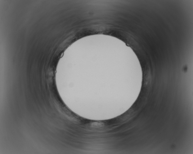 X0000115810279200912241920