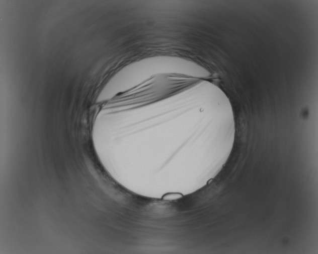 X0000115810280200912241920