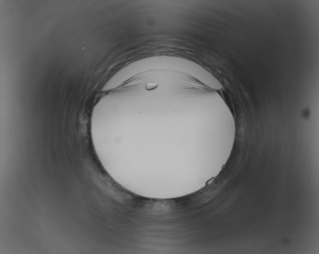 X0000115810282200912241920