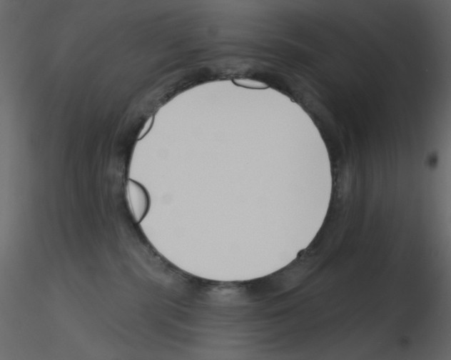 X0000115810283200912241920