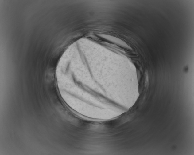 X0000115810284200912241920