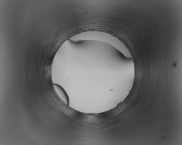 X0000115810285200912241920