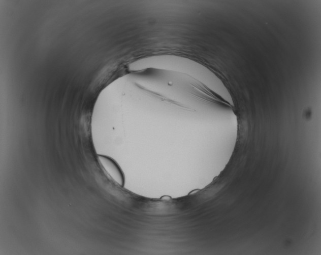 X0000115810286200912241920