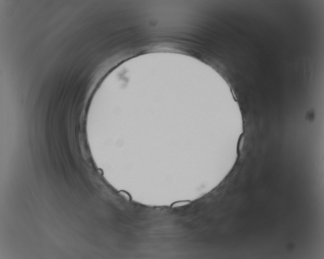 X0000115810289200912241920