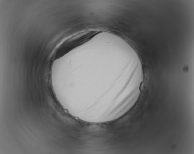 X0000115810290200912241920