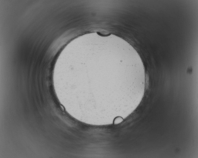 X0000115810291200912241920