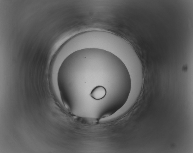 X0000115810292200912241920