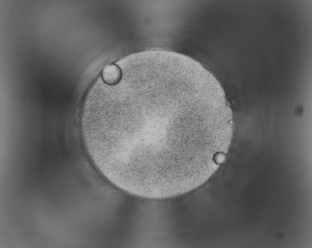 X0000115810293200912241920