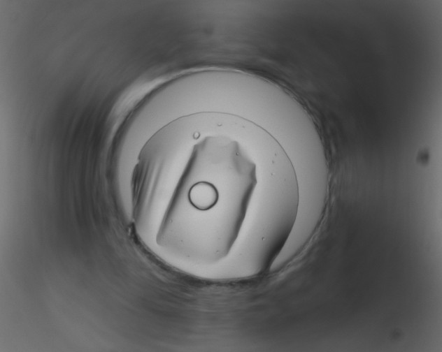 X0000115810294200912241920