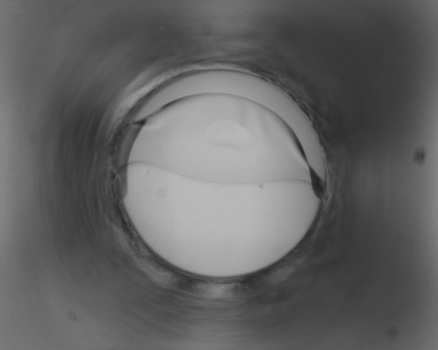 X0000115810295200912241920