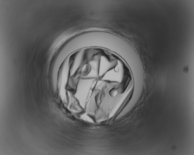 X0000115810296200912241920