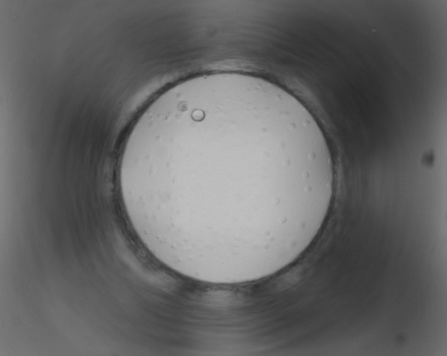 X0000115810298200912241920