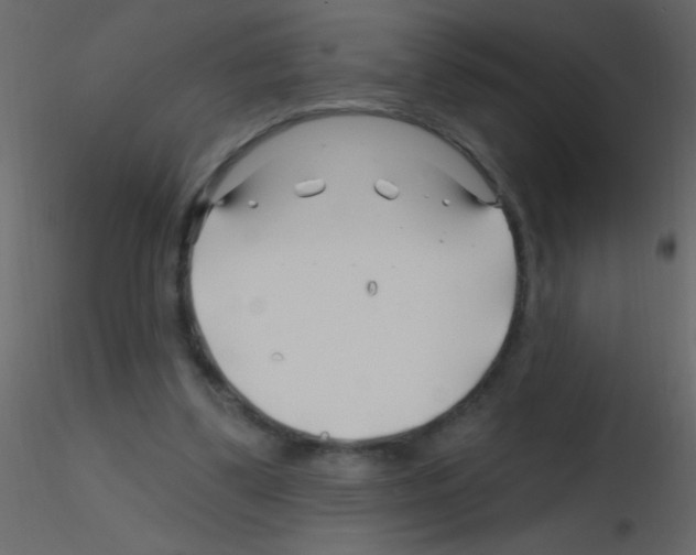 X0000115810299200912241920