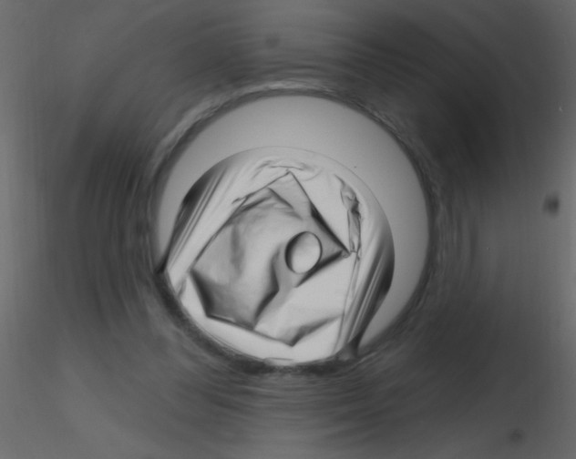X0000115810300200912241920
