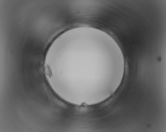 X0000115810301200912241920